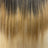 1B/27/613 – Ombré