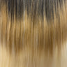 1B/27/613 – Ombré