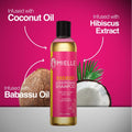Mielle Organics Babassu Conditioning Sulfate - Free Shampoo (8oz) by Aunty Cherish | Pre - stretched Braiding Hair Extensions Australia